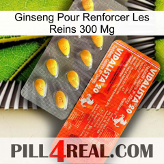 Ginseng For Reinforcing Kidney 300 Mg new01